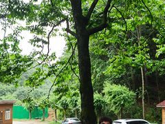 -洛阳白云山景区