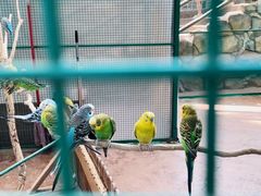 -杭州开元森泊度假乐园