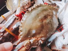 -锦绣大地生鲜食品厅