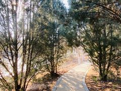 -北京张裕爱斐堡酒庄