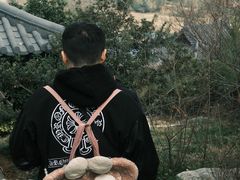 -雅达·阳羡溪山小镇中心