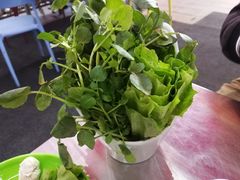 时蔬拼盘-蚝羊氣惠来羊肉火锅·高压锅生蚝