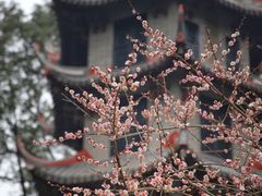 -成都杜甫草堂博物馆