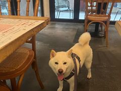 -Cyclus Craft Kitchen薩克思手工厨房