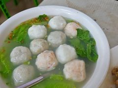 -蒂蒂香達濠魚丸