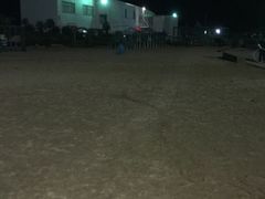 -碧海金沙