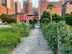 -上南瓦煲鸡·清远鸡·老字号(总店)