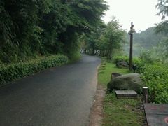 -千岛湖龙川湾