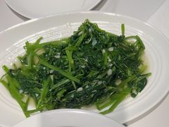-渔歌湘宴
