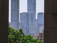 -南山植物园