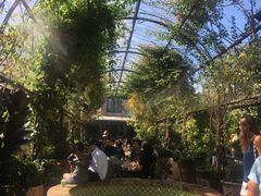 -The Grounds of Alexandria