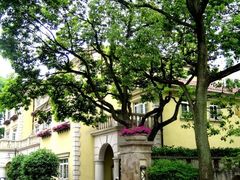 -棕榈岛海鲜自助餐厅(虹桥迎宾馆店)