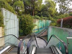 -上海港国际客运中心
