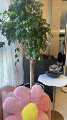 -奕美功能性体态调整·塑型·产后恢复(永利国际店)