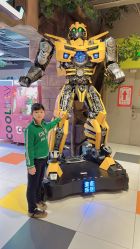 点击看大图 -宝燕乐园(闵行旗舰店)