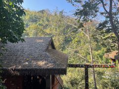 -西双版纳原始森林公园