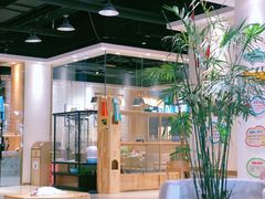 -藏猫猫咖啡主题馆(中央大道店)