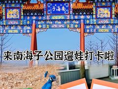 -南海子公园