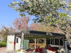 -青岛大学路小学