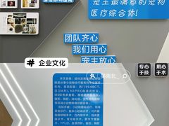 -pd派德宠物中心医院24H急重症·眼科中心·血液透析中心(嵩山北路店)