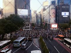 -涩谷区