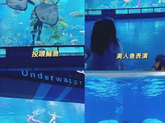 -泉城欧乐堡海洋极地世界