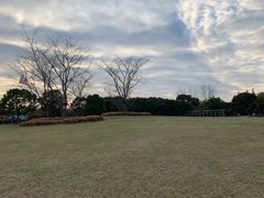 -上海滨江森林公园