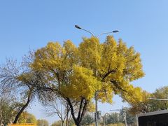 -好利来(牡丹园店)