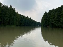 -上海海湾国家森林公园