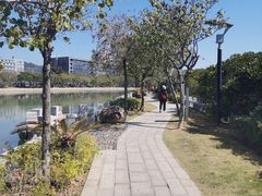 -白鹭洲公园