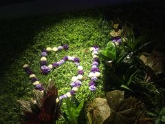 -路边摊小炉子烧烤