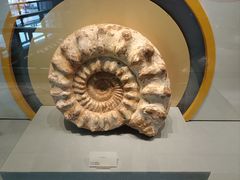 -湖南省地质博物馆