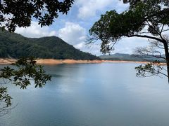 -广州市流溪河国家森林公园