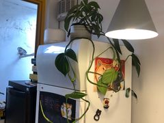 -About Bistro關於·泰式家庭料理