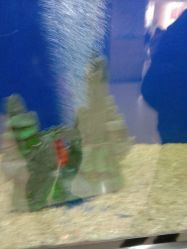 -西安市儿童医院门诊