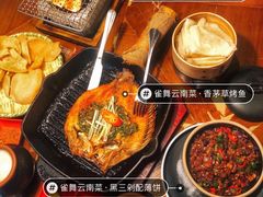 -雀舞云南菜(天津天河城购物中心店)