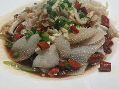 -佬肥猫(国华广场店)