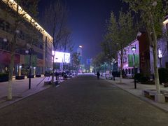-陈记味道枣庄辣子鸡(佛山街总店)
