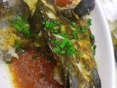 葱油石斑鱼-渔中舟海鲜大排档(普陀沈家门店)