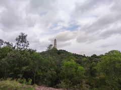 -榴花公园