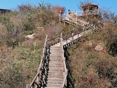 -大岭沟猕猴桃谷风景区