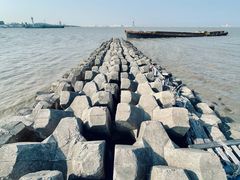 -上海滨江森林公园