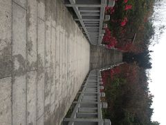 大沙河公园-大沙河公园