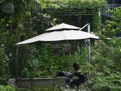 -谷咖啡·鲜花绿植花园餐厅