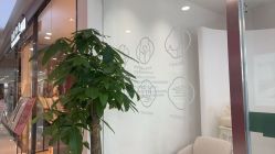 -妈妈时光机医疗产后修复(南山茂业百货店)