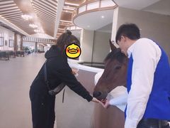 -中国马镇舞马世界主题乐园