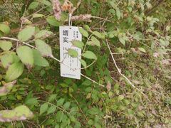 -翠湖国家城市湿地公园
