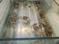 -川骄海鲜自助(河东店)