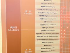 -大庆市博物馆
