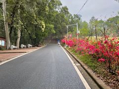 -白云山风景名胜区